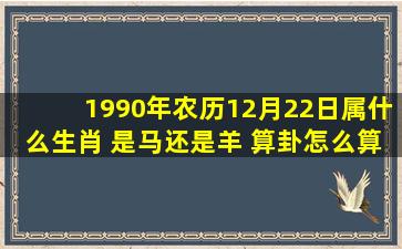 1990年农历12月22日属什么生肖 是马还是羊 算卦怎么算